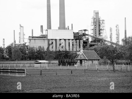 Années 1980, photo en noir et blanc, de l'économie, la chimie, l'usine chimique, agrictulture, pâturage, ferme, de l'Ems, Basse-Saxe Banque D'Images