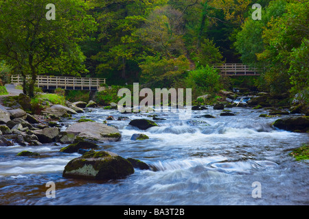 Watersmeet au Parc National d'Exmoor Devon, Angleterre Banque D'Images