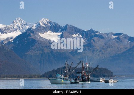 Bateaux de pêche à la senne de commerciale à Port Valdez Prince William Sound, Alaska Malamute Automne *Kid* *Halberd* Banque D'Images