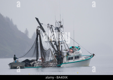 Senneur Commercial Malamute Kid* *relève des captures de saumon argenté dans le brouillard Port Valdez en Alaska PWS Automne Banque D'Images