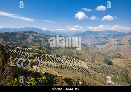 Chine Yunnan Yuanyang rizières en terrasse dans la montagne Banque D'Images