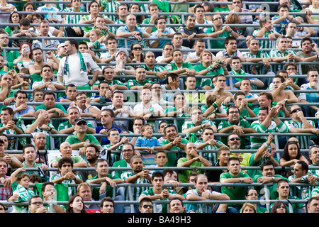 Stands bondés de Ruiz de Lopera Stadium pour le derby contre FC Séville, Séville, Espagne Banque D'Images