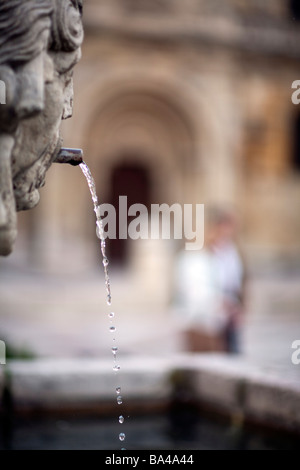 Fontaine en face de la basilique de San Isidoro Ville de Leon communauté autonome de Castille et Leon le nord de l'Espagne Banque D'Images