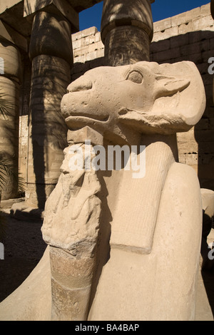 Ram dirigé sphinx, Temple de Karnak, Louxor, Egypte Banque D'Images