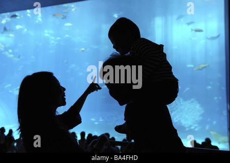 Le père avec son fils à regarder l'aquarium poisson Banque D'Images