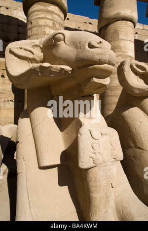 Ram dirigé sphinx, Temple de Karnak, Louxor, Egypte Banque D'Images