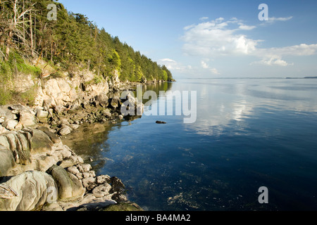 Baie Samish - Larrabee State Park, Washington Banque D'Images