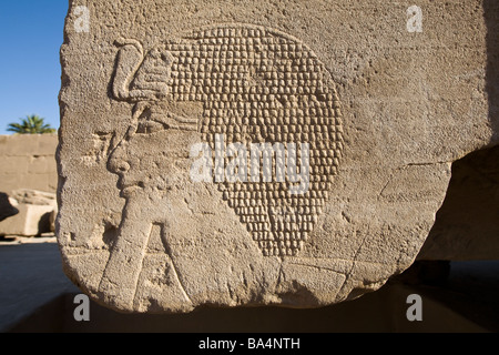 Close up of relief sculpté de kings head sur un bloc dans le musée en plein air de Karnak Temple, Luxor Egypte Banque D'Images