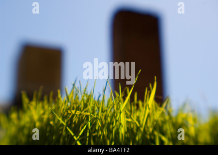 Voir l'herbe verte de à jusqu'à tours sombres Banque D'Images