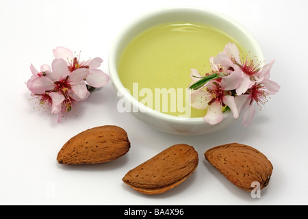 L'huile d'Amandes Amygdalus communis Prunus dulcis ou Banque D'Images