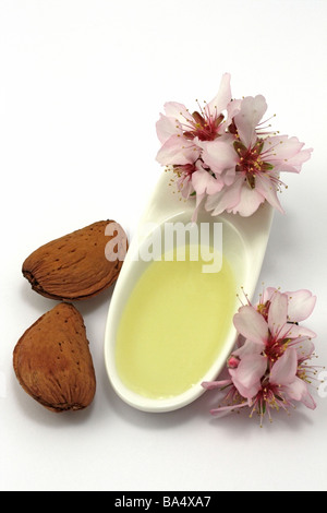 L'huile d'Amandes Amygdalus communis Prunus dulcis ou Banque D'Images