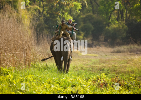 Les touristes avec des téléobjectifs ride sur la piste de l'éléphant tigre dans le Madhya Pradesh Bandhavgarh Parc national du nord de l'Inde Asie Banque D'Images