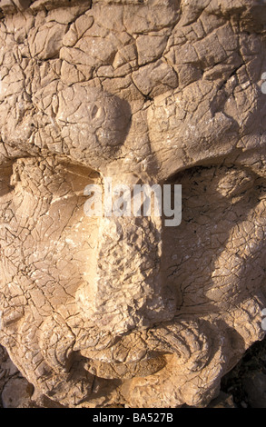 Zeus Nemrut Dagi est de la Turquie Banque D'Images