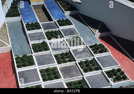 Le jardin cubiste avec parterres carrés à la Villa de Noailles (1924), Hyères, Var, Provence, France Banque D'Images