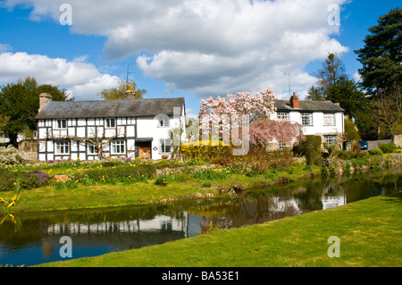 Flèche de la rivière à Eardisland Herefordshire Angleterre Royaume-uni Banque D'Images