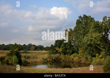 Paysage d'automne avec étang personne aucun coloré dans Michigan USA sur fond de ciel bleu nuages haute résolution Banque D'Images