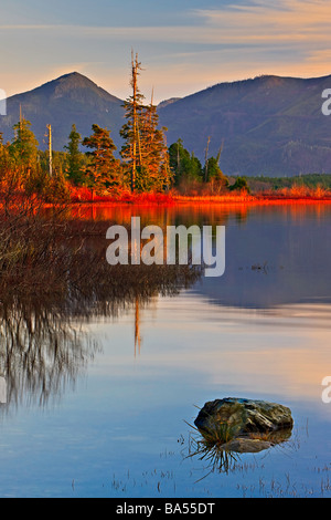 La fin de l'après-midi paysage de lac Kennedy une aire de transition de la Réserve de biosphère de l'UNESCO de Clayoquot Sound l'île de Vancouver. Banque D'Images