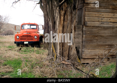International Harvester chariot sur ferme abandonnée Banque D'Images