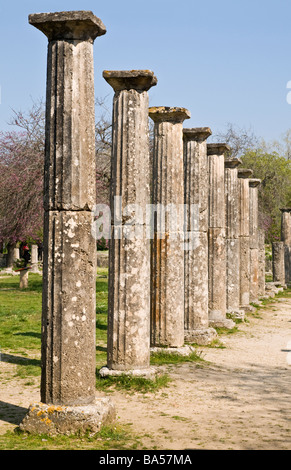 Des colonnes doriques parmi les ruines de la palestre à Olympie Péloponnèse, Grèce Banque D'Images