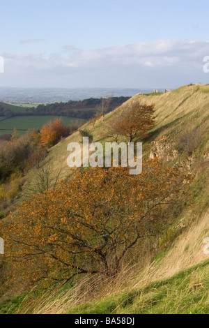 Un automne vue sur la Severn Vale de Uley Bury, Gloucestershire, Cotswolds, Royaume-Uni Banque D'Images