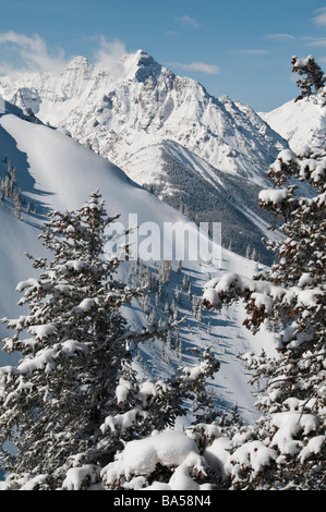 Pyramid Peak à partir du haut de la Loge Peak, Aspen Highlands Ski Area, Aspen, Colorado. Banque D'Images