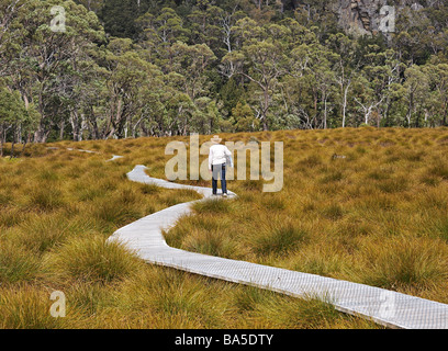 Lone walker sur boardwalk Cradle Mountain Valley partie du lac Sainte Claire Tasmanie Australie parc national Banque D'Images