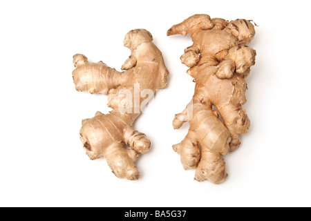 La racine de gingembre isolated on a white background studio Banque D'Images