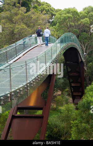 Les visiteurs marchent au-dessus de la cime des arbres sur l'allée en Russie Kings Park. Perth, Western Australia, Australia Banque D'Images