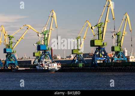Coucher de soleil sur les grues portuaires en été. Banque D'Images