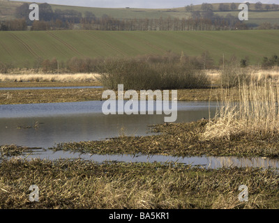 La réserve RSPB Écosse Loch Kinnordy Banque D'Images