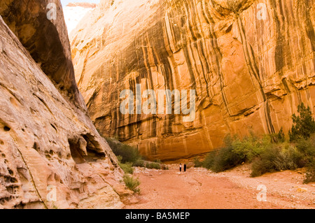 Deux randonneurs sur le grand sentier de lavage en Capital Reef National Park Banque D'Images