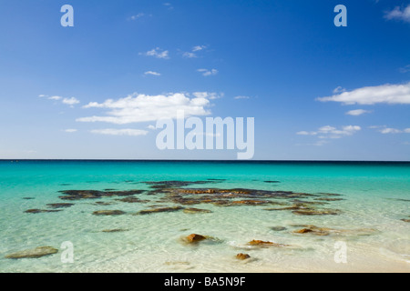 Eagle Bay, près de Lancaster. Geographe Bay, Australie occidentale, Australie Banque D'Images