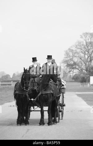 Chevaux tirant un chariot à la London Harness Horse Parade Banque D'Images