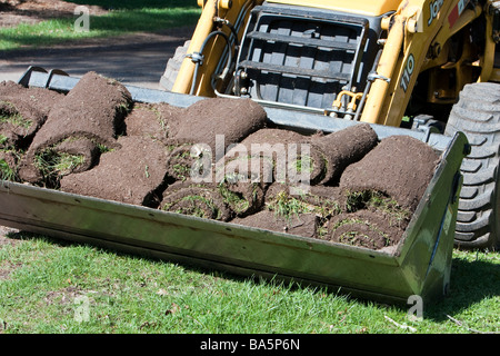 Un tracteur jaune avec une benne de chargement de gazon fraîchement coupé. Banque D'Images
