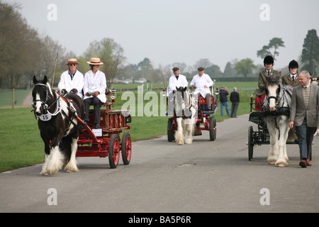 Chevaux carrioles à la London Harness Horse Parade Banque D'Images