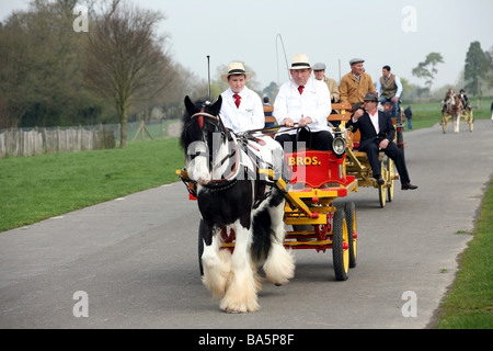 Chevaux carrioles à la London Harness Horse Parade Banque D'Images