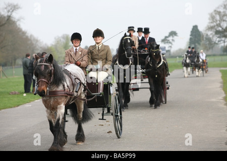 Chevaux carrioles à la London Harness Horse Parade Banque D'Images