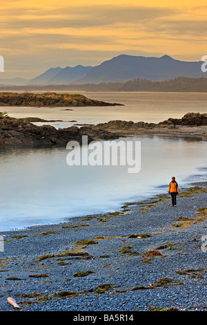 Femme marchant le long de South Beach après le coucher du soleil le parc national Pacific Rim La Plage Long Clayoquot Sound : Réserve de biosphère de l'UNESCO. Banque D'Images