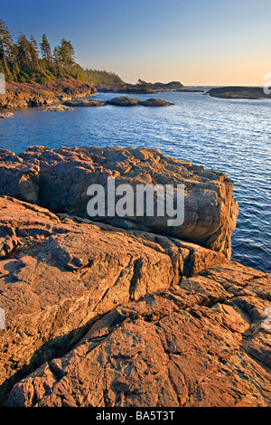 Les affleurements rocheux de South Beach et du parc national Pacific Rim La Plage Long Réserve de la biosphère de Clayoquot Sound Côte Ouest. Banque D'Images