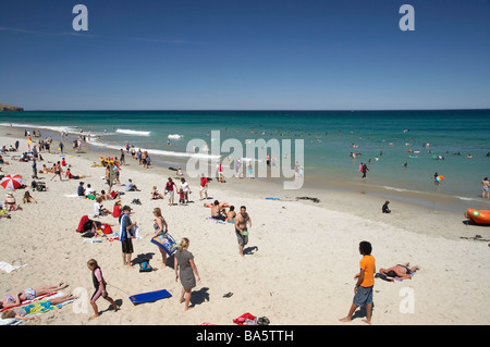 L'été à St Clair Beach Dunedin Otago ile sud Nouvelle Zelande Banque D'Images