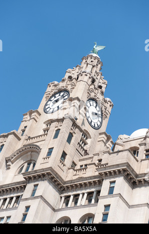 Avis de Liver Building Liverpool contre le ciel bleu Banque D'Images