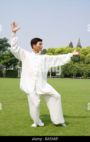 Tai Chi master exerçant sur la pelouse Banque D'Images