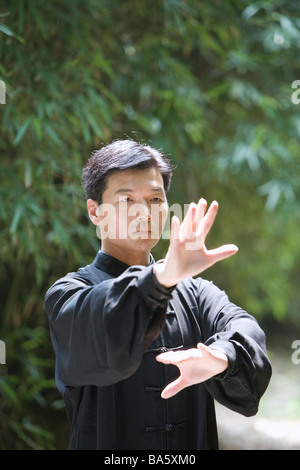 Man doing Tai Chi en plein air Banque D'Images