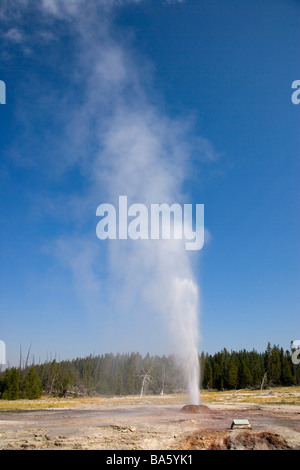 Cône rose Geyser Parc National de Yellowstone au Wyoming USA Banque D'Images