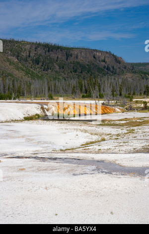 Cliff geyser Bassin SABLE NOIR Le Parc National de Yellowstone au Wyoming USA Banque D'Images