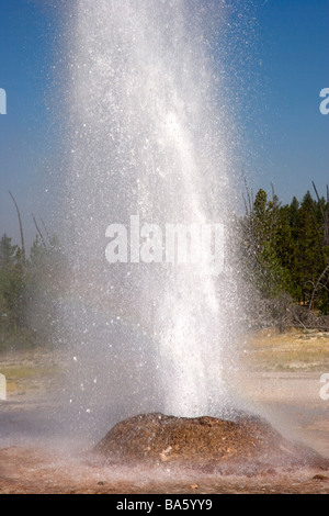 Cône rose Geyser Parc National de Yellowstone au Wyoming USA Banque D'Images