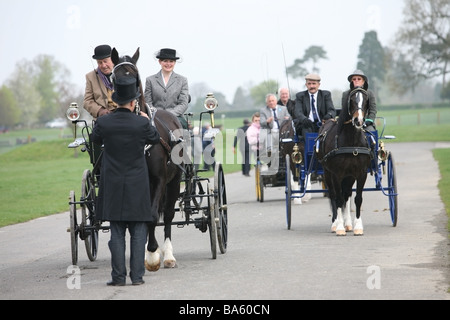 Chevaux carrioles à la London Harness Horse Parade Banque D'Images