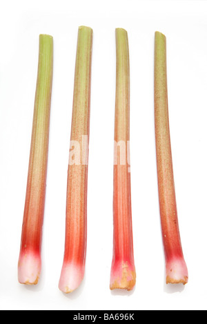 La rhubarbe isolated on a white background studio Banque D'Images