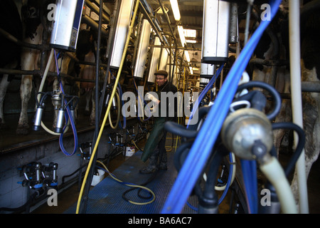 Produits laitiers lait bio dans le Kent, Angleterre Banque D'Images