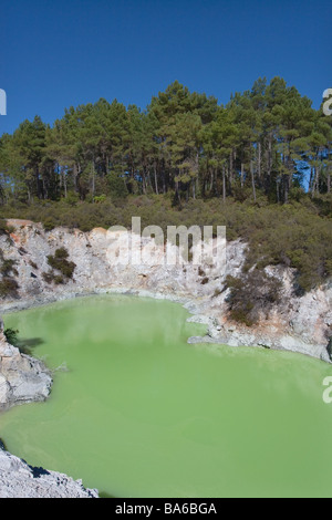 Geo Piscine Thermale de Wai O Tapu Ile du Nord Nouvelle Zélande Banque D'Images